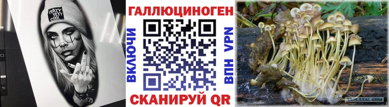 магазин продажи наркотиков  Пугачёв  Галлюциногенные грибы ЛСД 